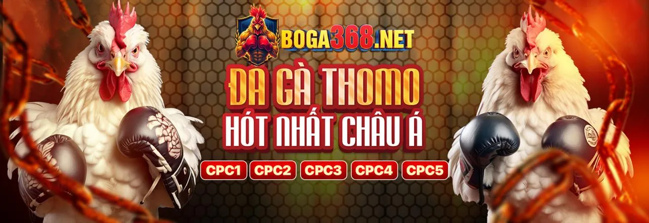 Sân vận động bóng đá với khán giả đang cổ vũ, biểu tượng cá cược thể thao VB88